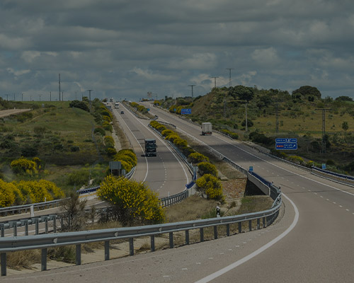regulamento transportes
